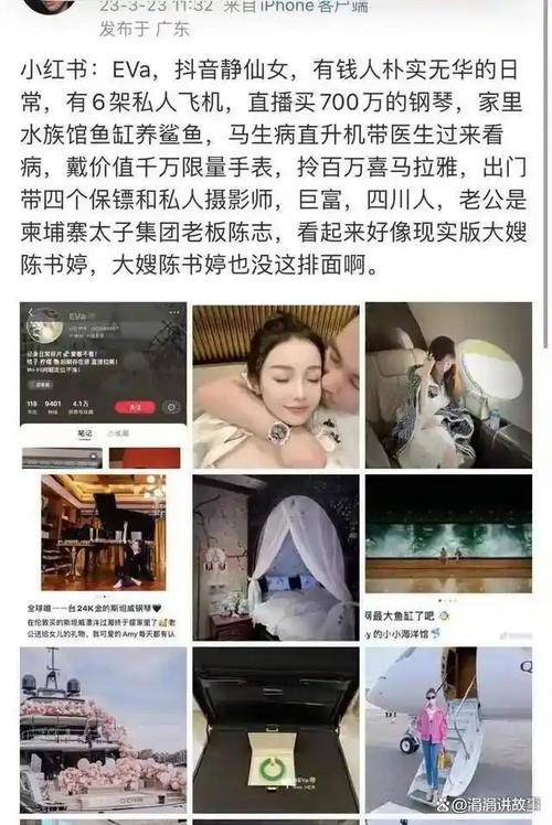 娱乐圈背景最强大_娱乐圈强大的背景排名_娱乐圈最强黑社会背景