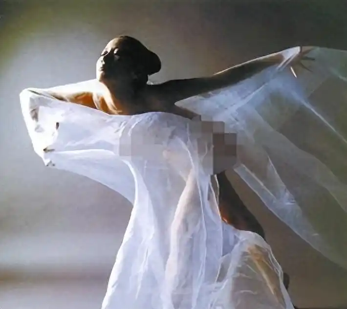 汤加丽人体艺术写真_中国女明星人体艺术_汤加丽艺术争议